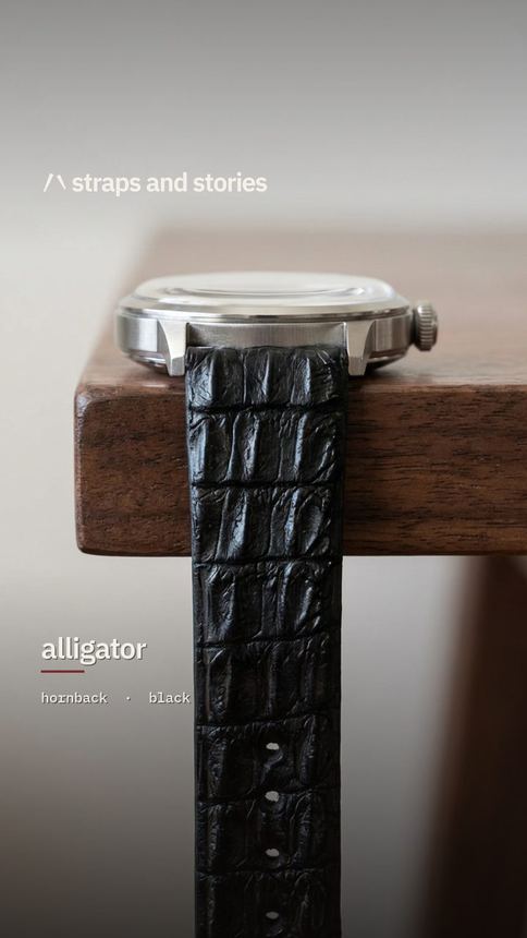 Alligator hornback in black on a steel watch