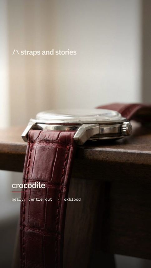 Finished strap photograph: Crocodile belly in oxblood on a steel Omega