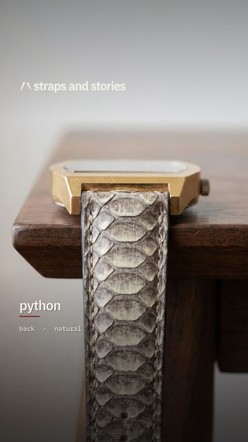 Python back in natural on a gold Bucherer